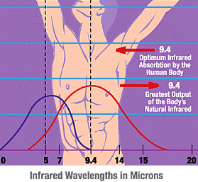 wavechart