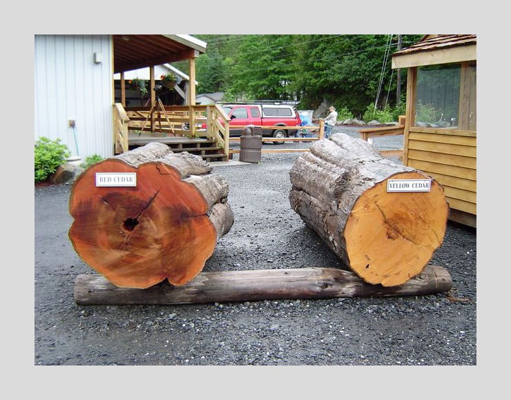 cedar comparison