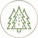 Clear western red cedar icon