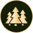 Western red cedar icon
