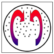 Better Air Circulation