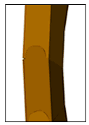 Special Canoe Joint